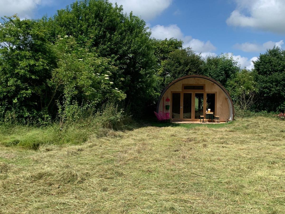 Bed and Breakfast Het Lage Noorden Marrum Экстерьер фото