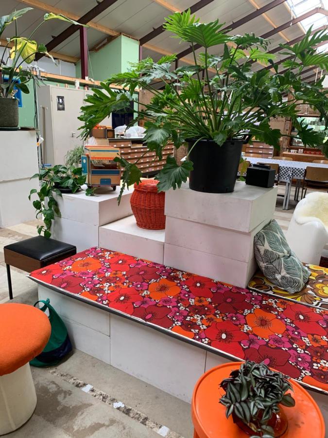 Bed and Breakfast Het Lage Noorden Marrum Экстерьер фото