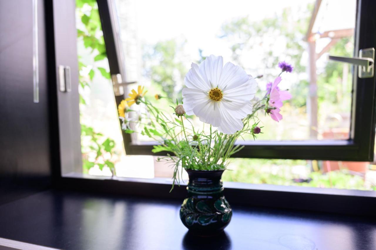 Bed and Breakfast Het Lage Noorden Marrum Экстерьер фото