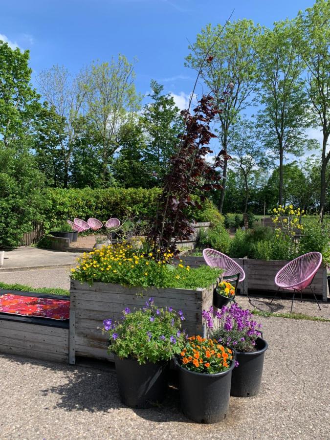 Bed and Breakfast Het Lage Noorden Marrum Экстерьер фото